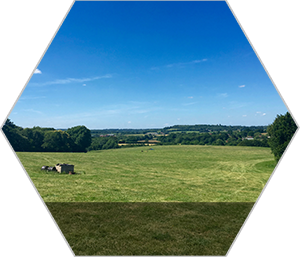 Open spaces